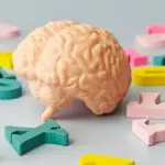 Multilingualism Linked to Younger Brain Age, Study Finds