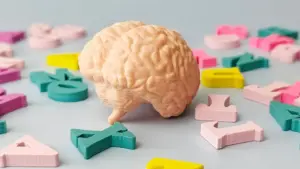 Multilingualism Linked to Younger Brain Age, Study Finds