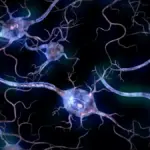 Navigating the Modern Cult of Normalcy: New Participatory Research Exposes Widespread Psychological Unsafety for Neurodivergent Individuals