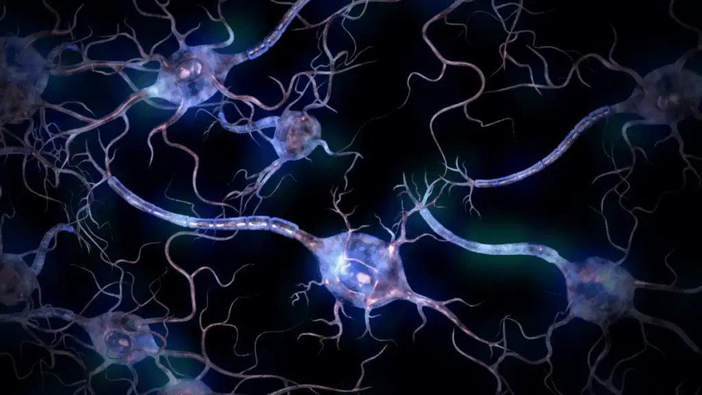New Global Research Reveals Widespread Psychological Unsafety Among Neurodivergent Adults and Children in Modern Society