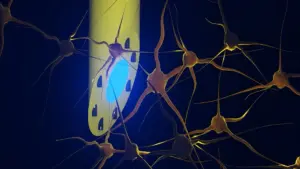 New Microfluidic "Axialtrode" Implant Offers Breakthrough in Precise Brain Mapping and Therapy