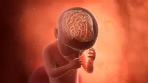 New Study Links Congenital TORCH Infections to Significantly Higher Risks of Autism and Intellectual Disability