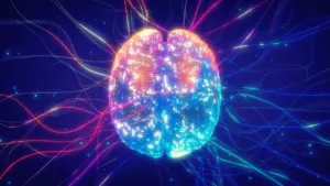New Study Reveals How the Brain’s "Air Traffic Controller" Navigates Uncertainty