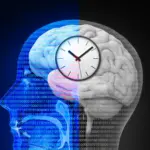 Resetting the Internal Clock: New Research Suggests Circadian Rhythms Could Unlock Stroke Recovery