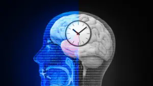 Resetting the Internal Clock: New Research Suggests Circadian Rhythms Could Unlock Stroke Recovery