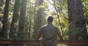 The Intelligence Trap: Why Understanding Yourself Isn’t Enough for Change