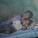 Timor-Leste Achieves Historic Milestone as WHO Certifies Country Malaria-Free