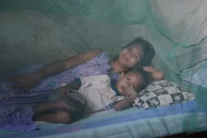 Timor-Leste Achieves Historic Milestone: Declared Malaria-Free by the World Health Organization