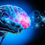 Unlocking the Brain’s Rhythm: New Research Reveals How Deep Brain Stimulation Alleviates Parkinson’s Symptoms