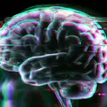 Beyond the Diagnosis: New Brain Mapping Reveals Five Distinct Biological Profiles of Depression