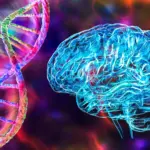 Breakthrough Research Reveals How Rare Genetic Mutation Protects Against Alzheimer’s Disease