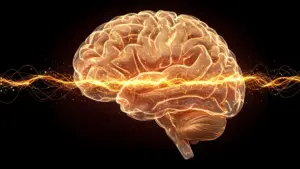 Common Brain Signal Discovery May Unify Understanding of Schizophrenia Symptoms