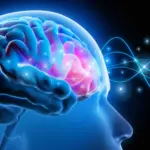 FDA Clears Personalized Brain Stimulation Therapy as New Alternative for PTSD Treatment