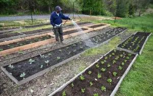 Federal Officials Launch National Initiative to Make Community Gardens Accessible for People with Disabilities and Older Adults