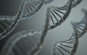 How a Rare Gene Mutation Connected a Boy’s Autism Diagnosis to Parkinson’s Disease Research