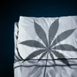 New Research Challenges the Safety of CBN as a Popular Sleep Aid
