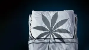 New Research Challenges the Safety of CBN as a Popular Sleep Aid