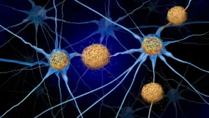 New Research Identifies Immune Pathway to Halt Alzheimer’s Brain Cell Loss