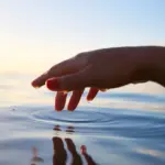 Rethinking Life, Mind, and Culture: How Relational Ecologies Offer an Alternative to Industrial Growth
