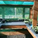 Sowing the Seeds for Ecological and Intersectional Communal Wellbeing: Reframing Human Ways of Being Beyond the Colonial Paradigm