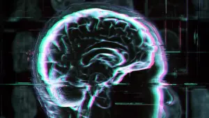 Study Reveals Distinct Patterns of Accelerated Brain Aging Across Diverse Neurological and Psychiatric Conditions
