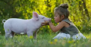 The Psychology of the Plate: Understanding Why We Eat Animals and the Ideology of Carnism