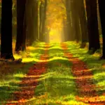 The Science of Nature: How Ecological Exposure Transforms Human Health and Cognition