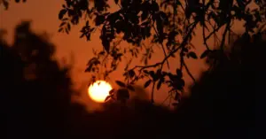 The Sunday Scaries: Understanding the Science Behind the Weekend’s End