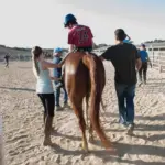 Therapeutic Horseback Riding Shows Significant Benefits for Children with Autism, New Study Finds
