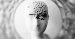 Unlocking the Mind: Neuropedia Offers a Refreshing Analog Window into Brain Science