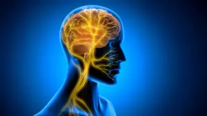 Vagus Nerve Stimulation After Training Enhances Long-Term Motor Skill Acquisition