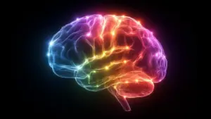 Yale Researchers Uncover How Stress Hormones Fine-Tune the Brain for Emotional Memory